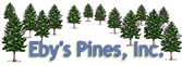 Eby's Pines Inc. home 