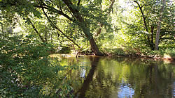 Little Elkhart River