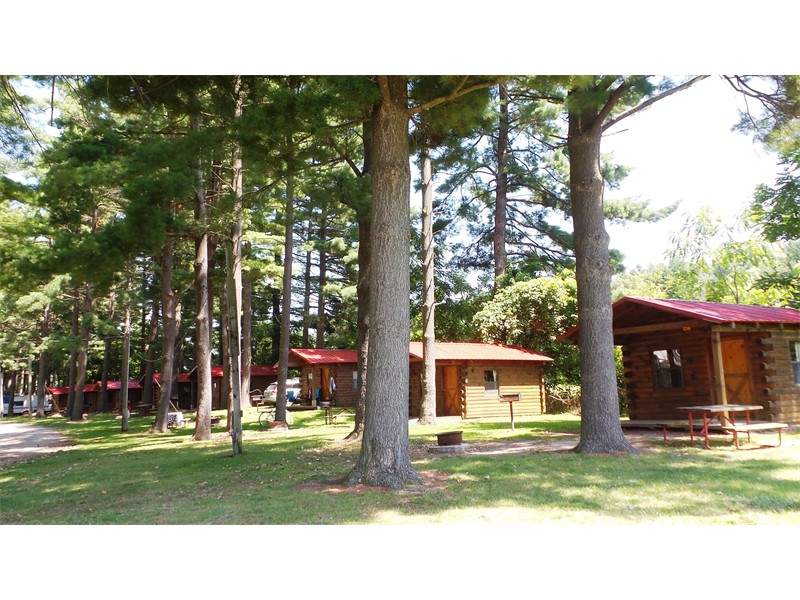 Red Pines Camping Cabins in the shade