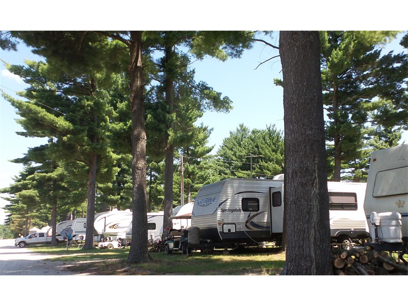 Camping in the Tall Red Pines