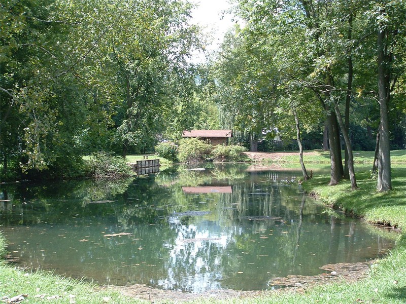 Fishing Ponds and Covered Bridge