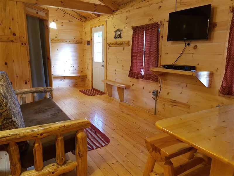 TV and DVD player in living area