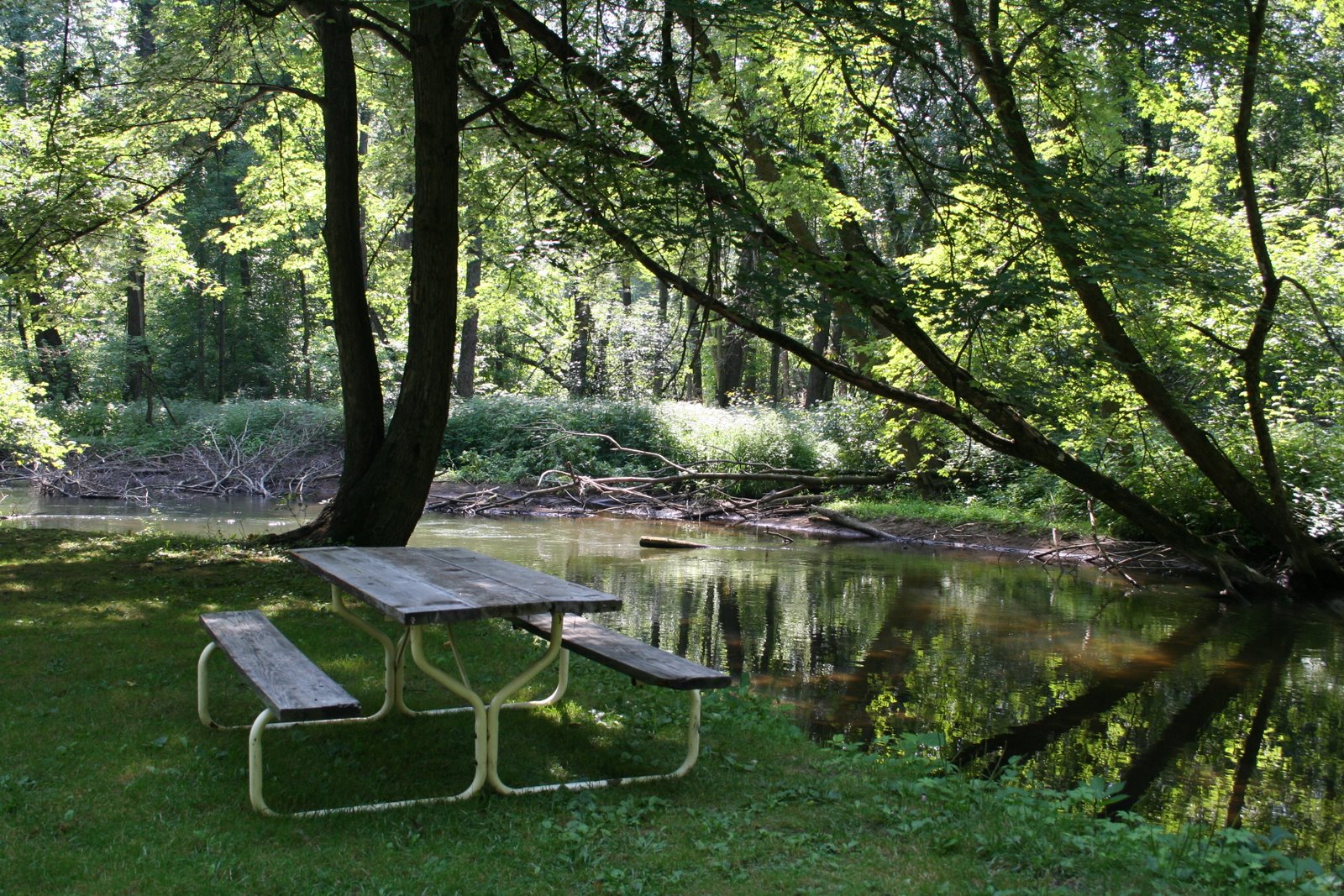 Primitive Campsites