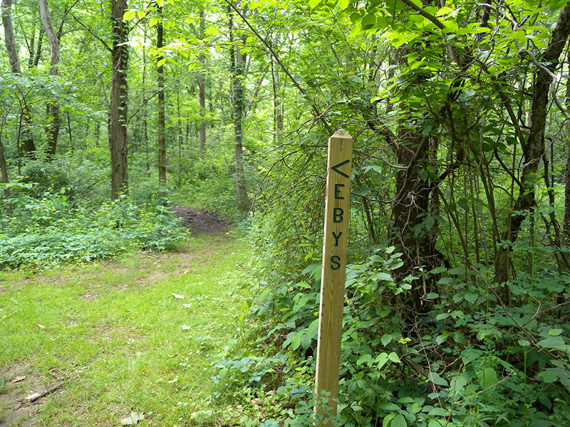 Hiking Trail at Eby's Pines RV Campground